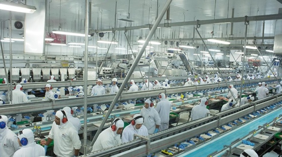 Possibilidades de monitoramento são cada vez mais usadas pela indústria alimentícia na melhoria da qualidade — Foto: BRF 