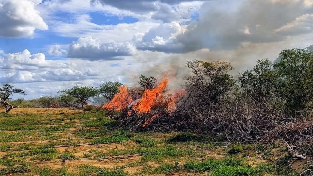 Campo Formoso Cidade G1 Campo Formoso Cidade G1