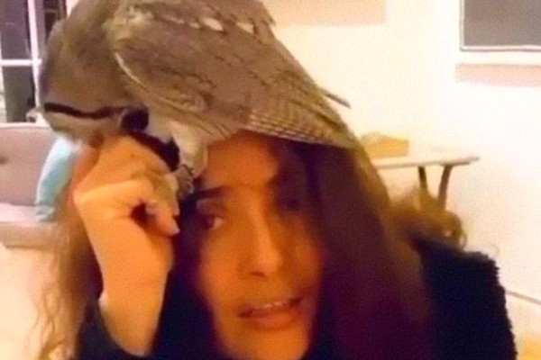 A atriz Salma Hayek com sua coruja de estimação (Foto: Instagram)