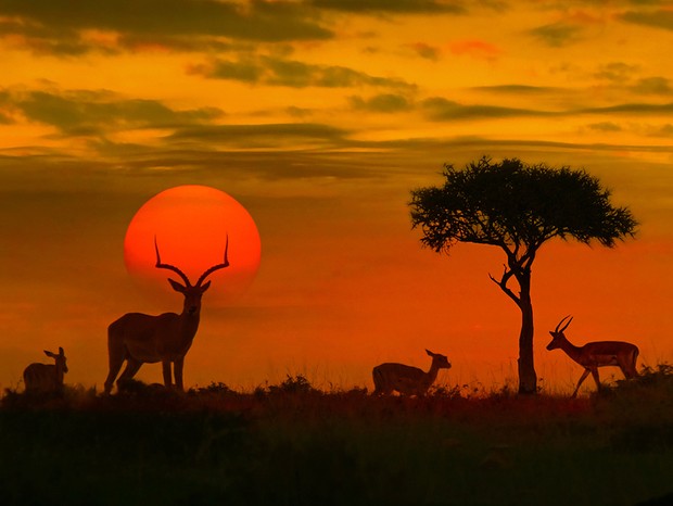 África (Foto: Thinkstock)