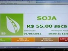 Bom preço da soja movimenta cooperativas no Paraná