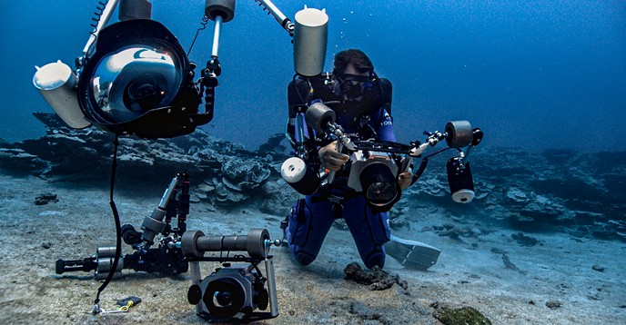 Corais profundos na costa do Taiti foram descobertos este mês (Foto: Reprodução / Alexis Rosenfeld, Unesco)