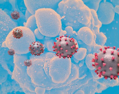 Imagens de microscopia revelam passo a passo de infecção pelo Sars-CoV-2