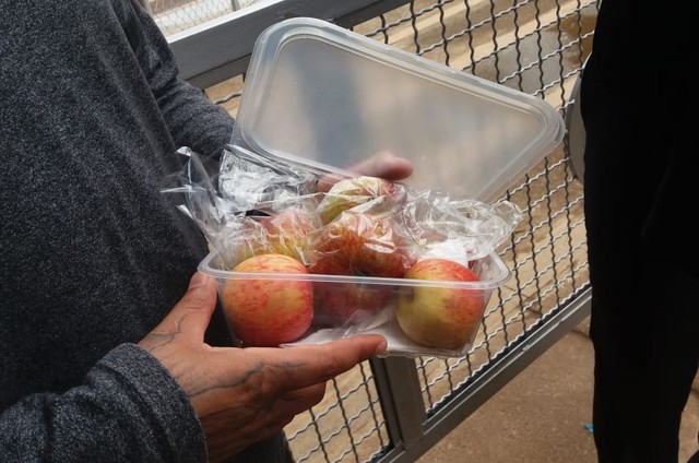 Segurança barra entrada de maçãs na posse de Bolsonaro : Politicando