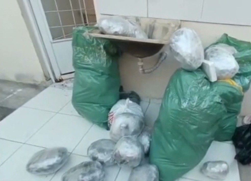 Polícia apreende cerca de 50kg de maconha em residência, em Campina Grande — Foto: Divulgação/TV Paraíba