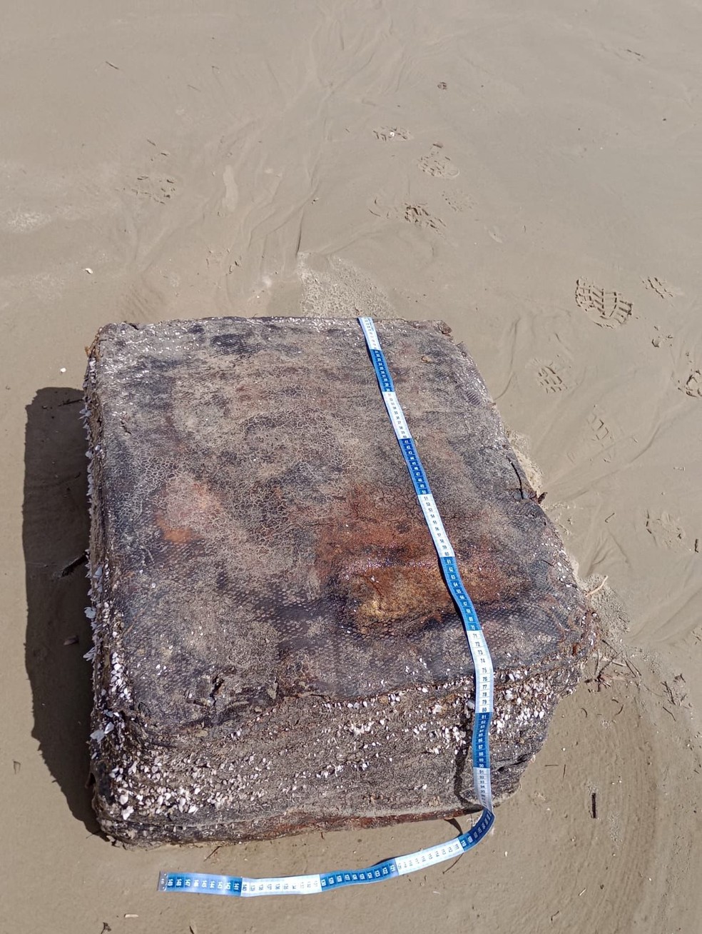 Fardo encontrado em praia de Santa Catarina — Foto: PMP/Divulgação