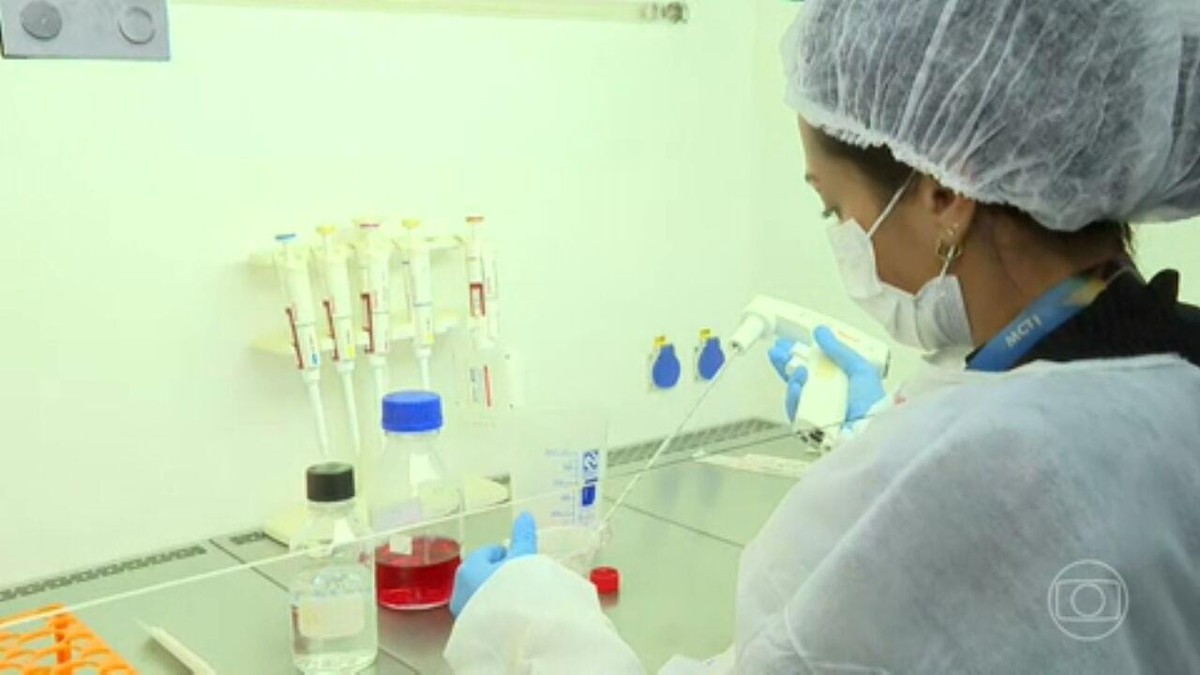 UFMG erhält Biomaterial zur Entwicklung eines Affenpocken-Impfstoffs |  Nationales Magazin