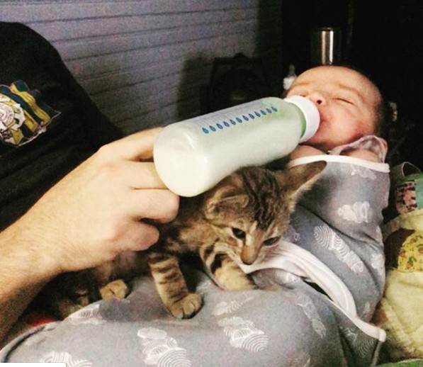 O gato foi um dos primeiros pets adotados pela família  (Foto: Reprodução: Instagram )