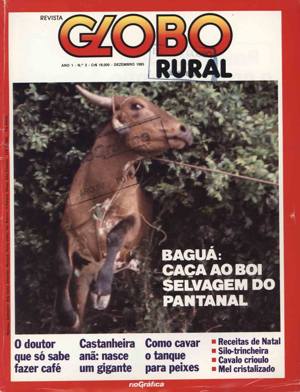 Hoje é dia do Pantanal - Revista Globo Rural