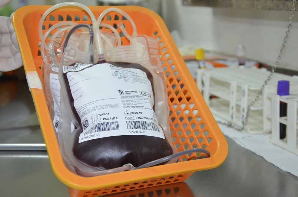 Bolsas de sangue podem salvar até quatro vidas — Foto:  Nielcem Fernandes/Governo do Estado