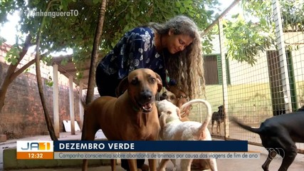 Dezembro Verde faz conscientização para evitar abandono de animais