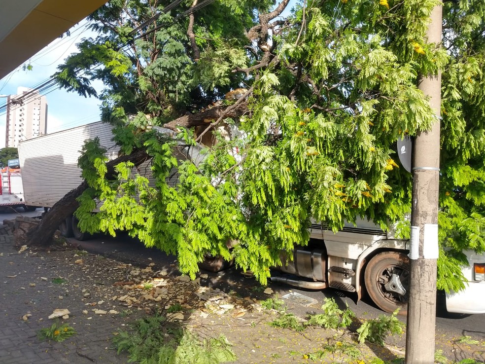 Acidente aconteceu na tarde desta sexta-feira (23) em Bauru — Foto: Mayky Araújo/TV TEM