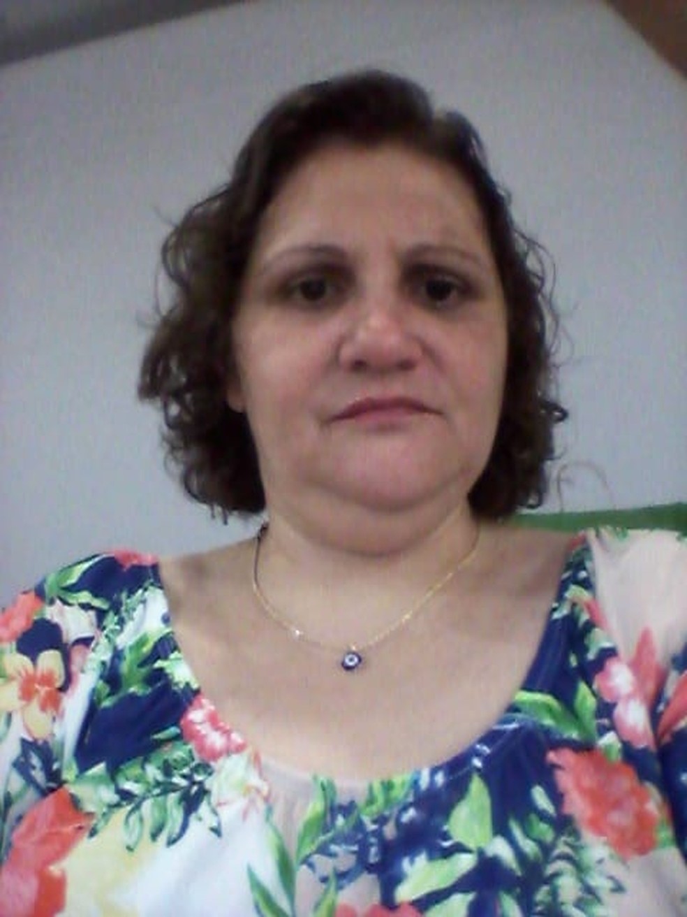 A professora Fernanda Junqueira de Tolvo — Foto: Arquivo pessoal