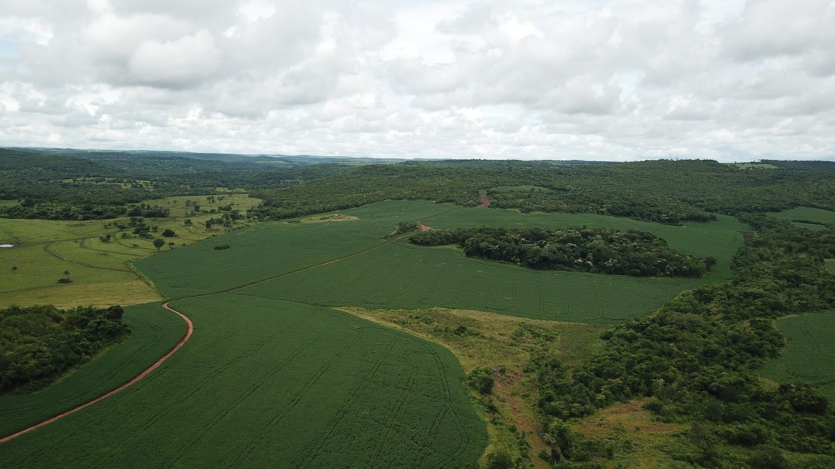 Alertas de desmatamento na Amazônia crescem 29,9% em março, mostram dados do Inpe thumbnail