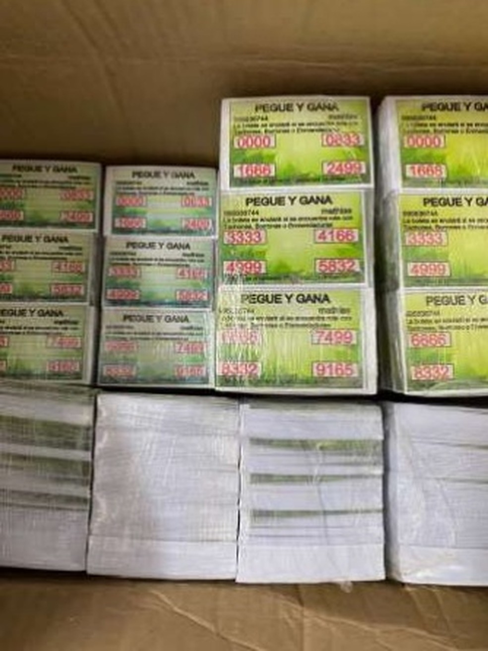 Cartelas de bingo escritas em espanhol foram encontradas durante operação Jogos de Azar, em Paulista, no Grande Recife — Foto: Polícia Civil/Divulgação