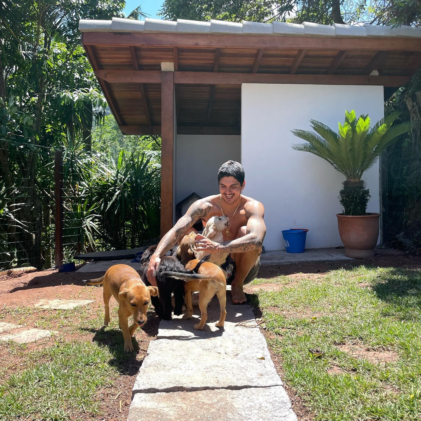 O surfista Gabriel Medina é tutor de quatro cachorros e um gato (Foto: @gabrielmedina/ Instagram/ Reprodução)