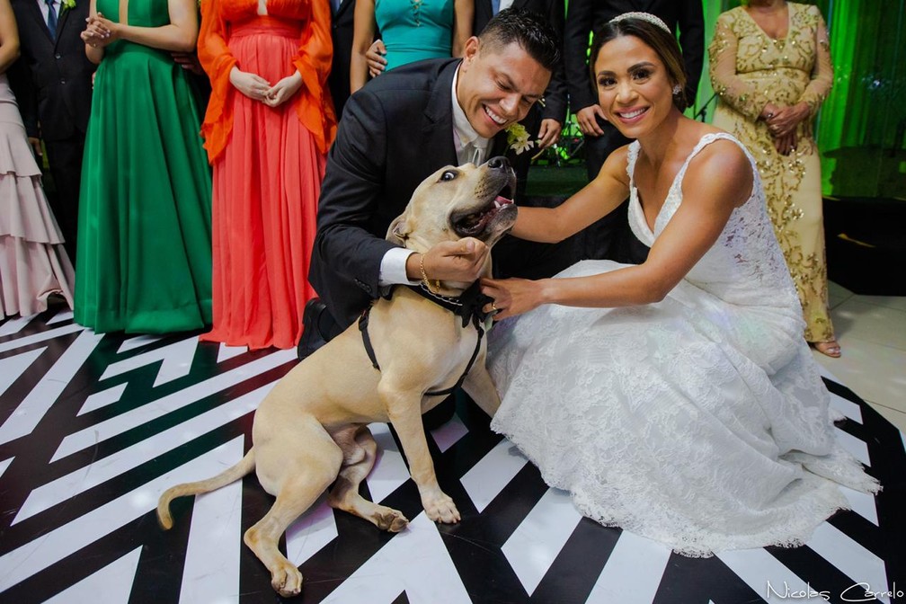 Playful dog that was successful on the Internet participates in the owners' wedding in Campo Grande. - Photo: Nicultura Carrelo