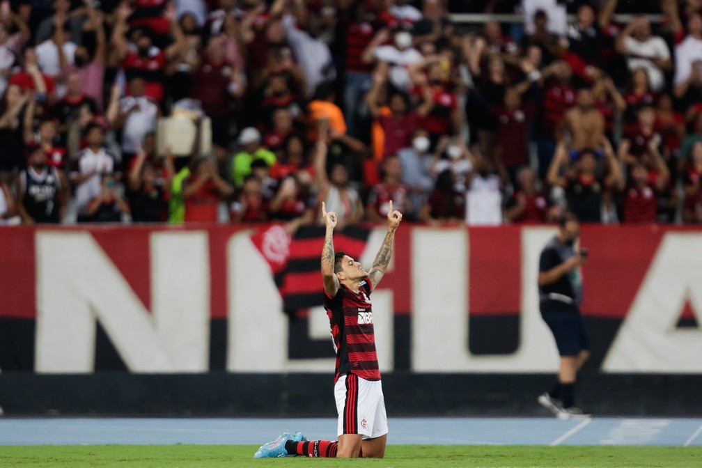 Pedro comemora seu gol na vitória do Flamengo sobre o Botafogo — Foto: Gilvan de Souza/Flamengo