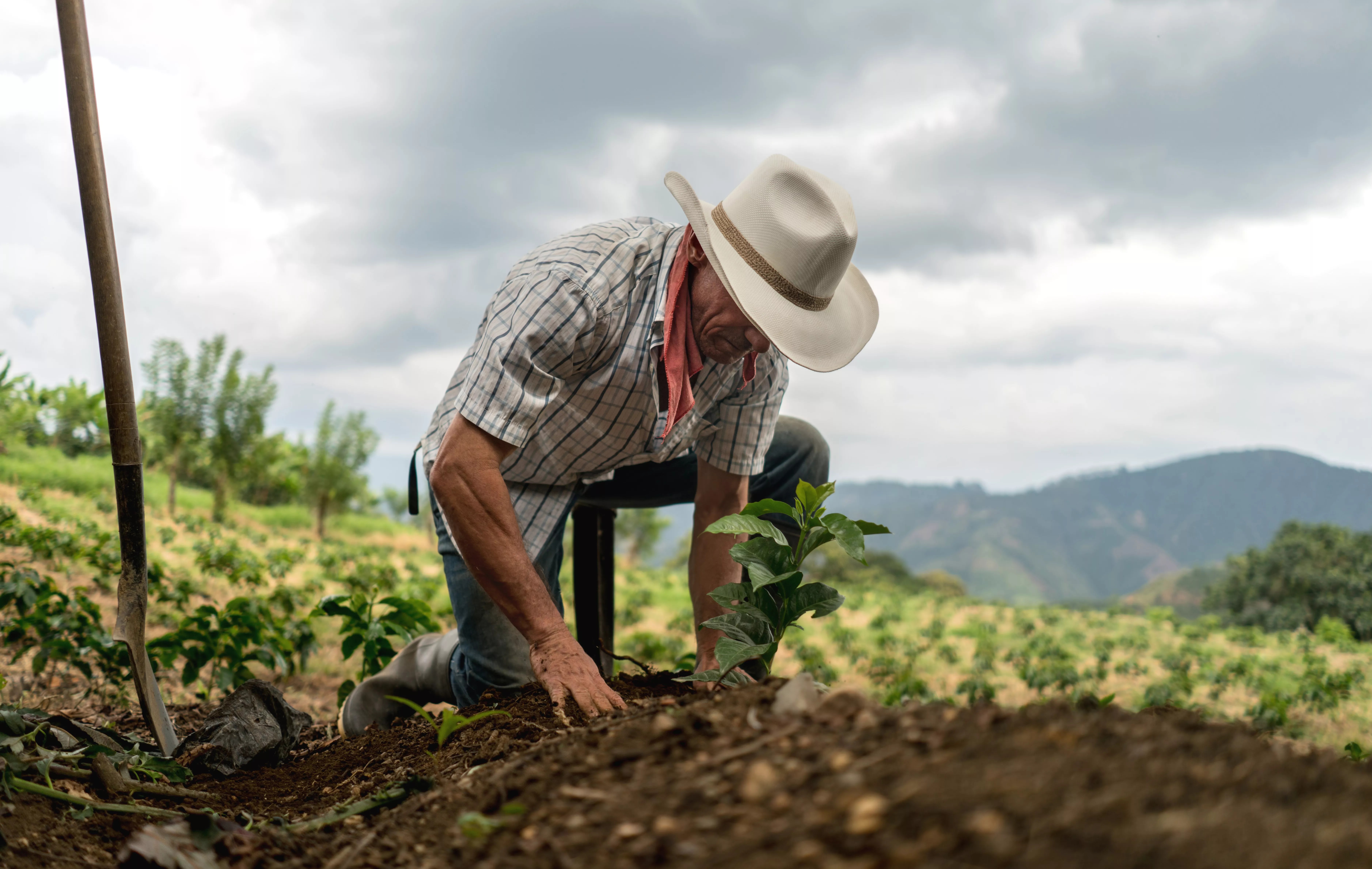 De acordo com a CNA, agropecuária respondeu por 5,2% dos empregos com carteira assinada no Brasil em 2021 (Foto: (Foto: Getty Images))