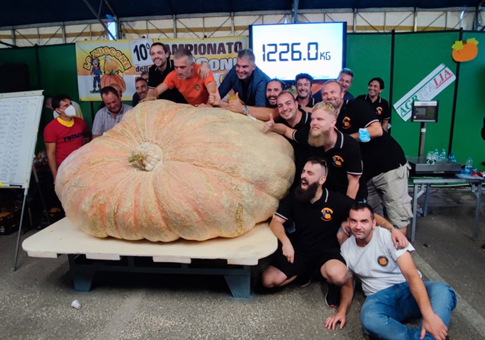 Fazendeiro na Itália bateu o recorde de abóbora mais pesada do mundo com fruto de 1,2 tonaleda — Foto: Divulgação/Guiness World Records