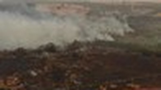 Depois de incêndio em fazenda, Embrapa Pecuária Sudeste anuncia medidas preventivas
