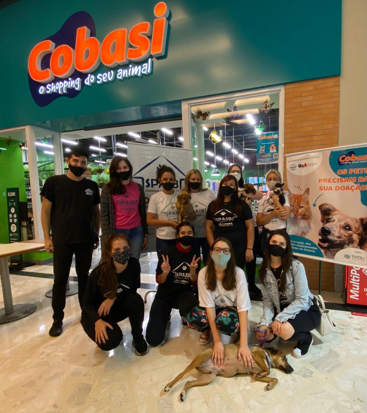 Shopping realiza feira de doação de cães e gatos em parceria com ONG de  Santa Bárbara d'Oeste | Piracicaba e Região | G1