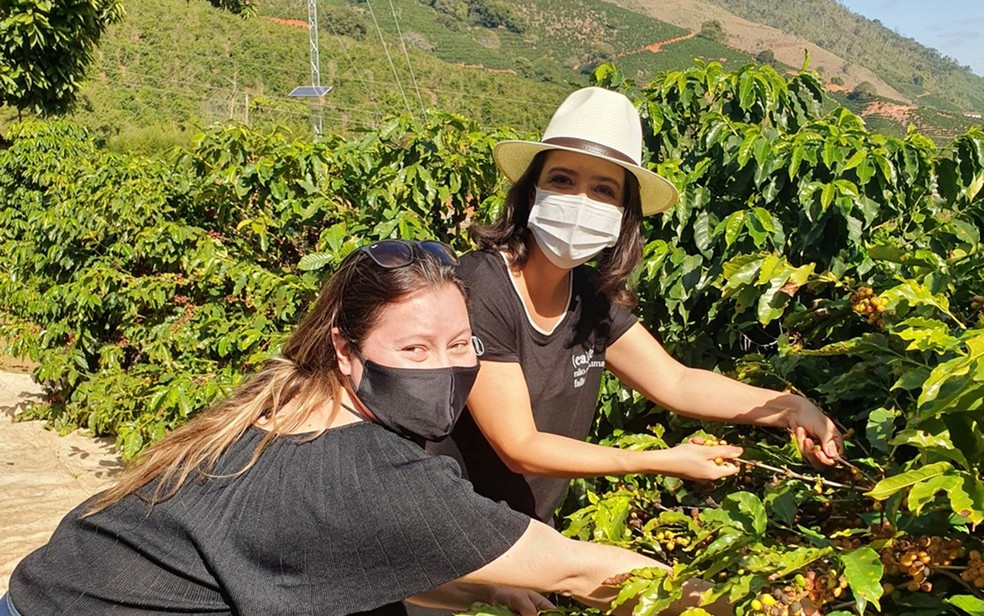 Turistas vivenciam experiência da produção do café especial em Santa Rita do Sapucaí — Foto: Arquivo Pessoal