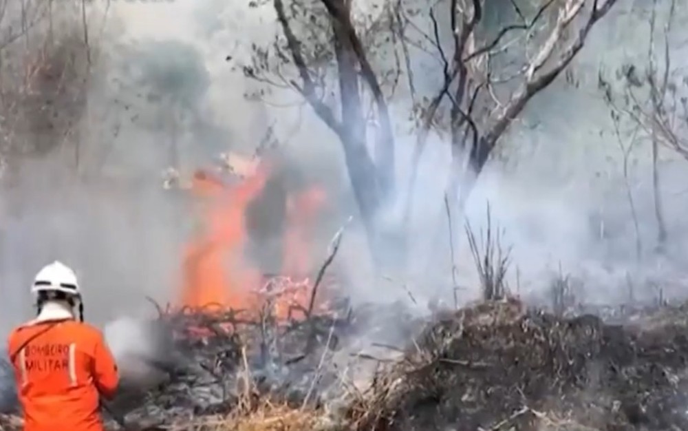 Incêndio atinge área de vegetação em Barreiras
