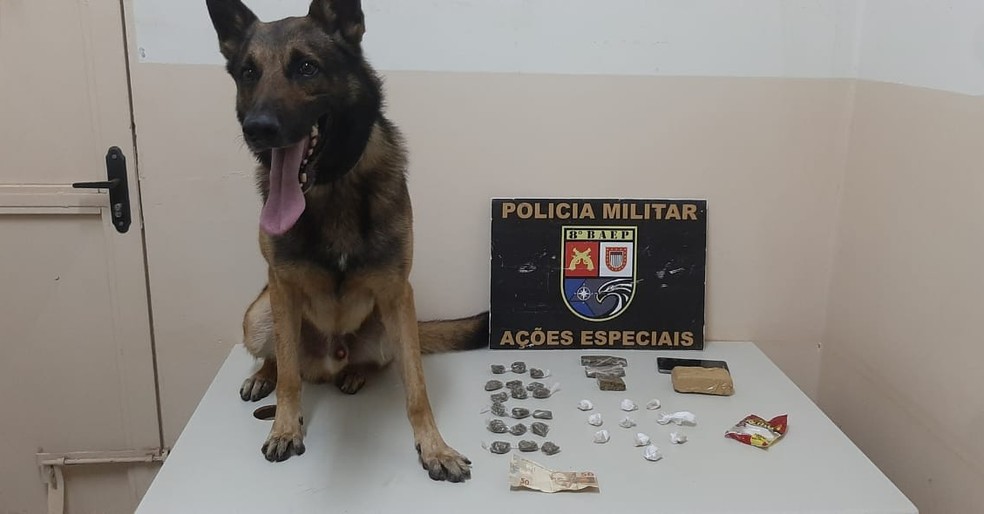 Cão Ricco, da Polícia Militar, farejou a sacola com drogas jogada pelo rapaz de 21 anos — Foto: Polícia Militar
