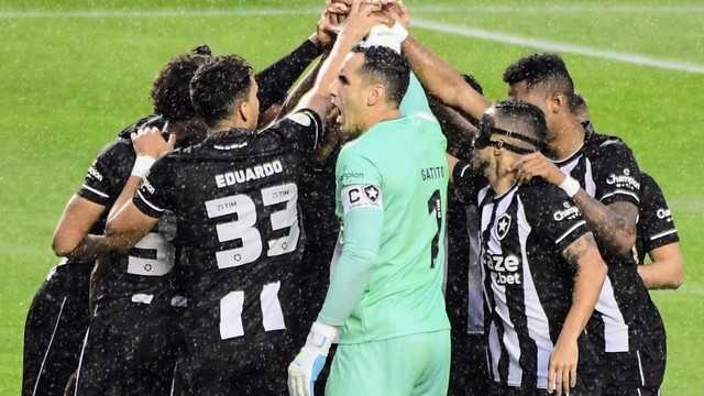 Time do Botafogo contra o São Paulo