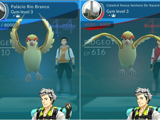 Catedral e Palácio são ginásios para batalhas Pokémon  (Foto: Reprodução/PokemonGO)