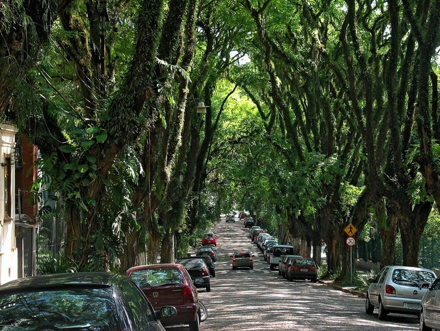 As 6 ruas mais bonitas do Brasil (Foto: Wikimedia Commons)