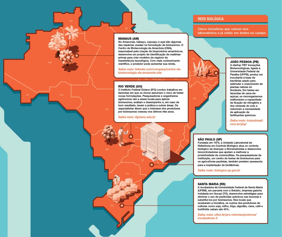 De norte à sul, expansão de pesquisa sobre bioinsumos no Brasil não para — Foto: Globo Rural / Felipe Yatabe