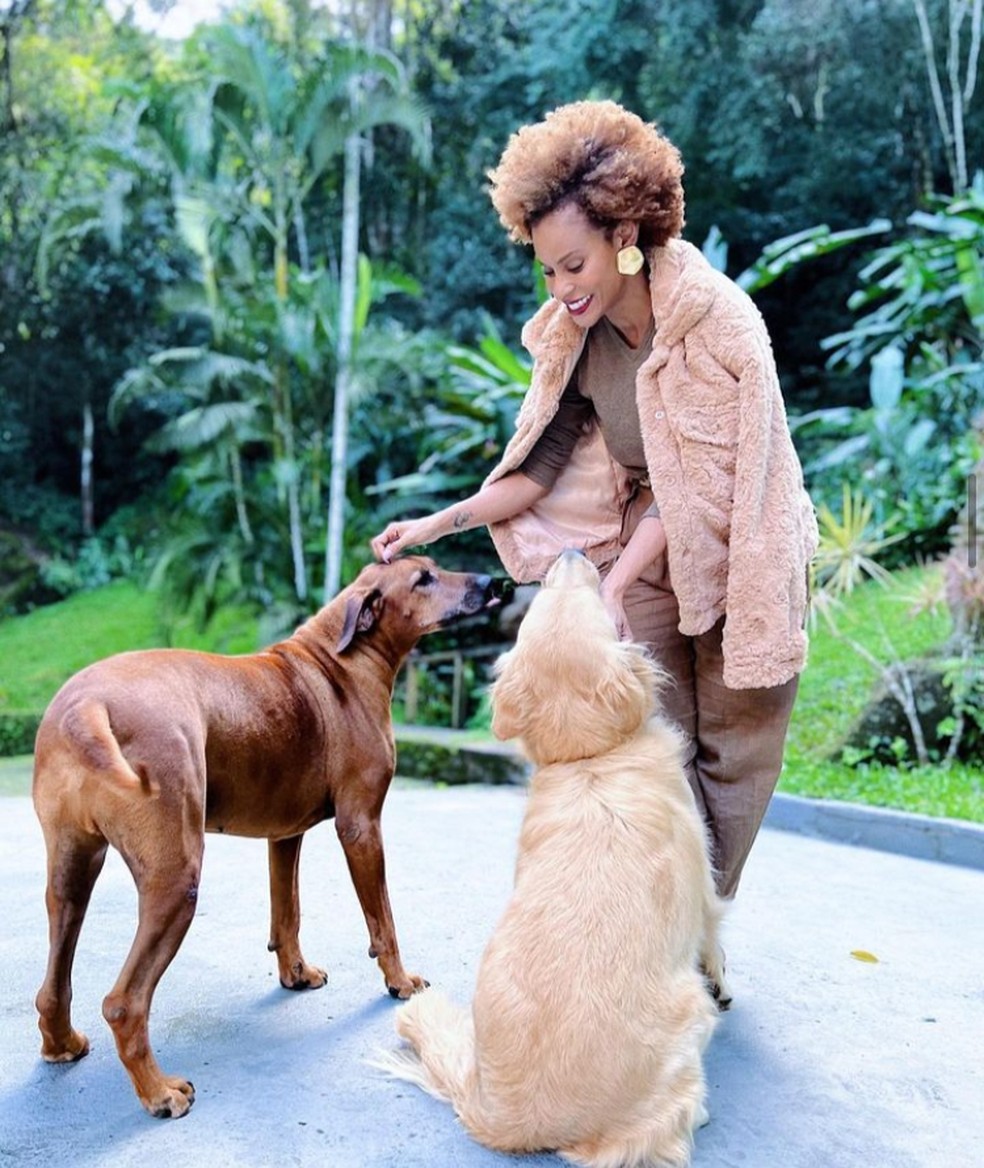BBB 23: conheça os pets dos brothers e sisters da casa mais vigiada do  Brasil | BBB 23 | gshow