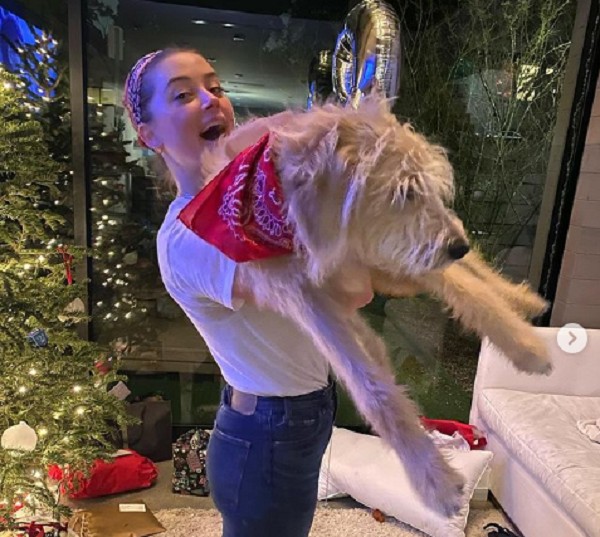 A atriz Amber Heard com seu cachorro Barnaby Joyce (Foto: Instagram)