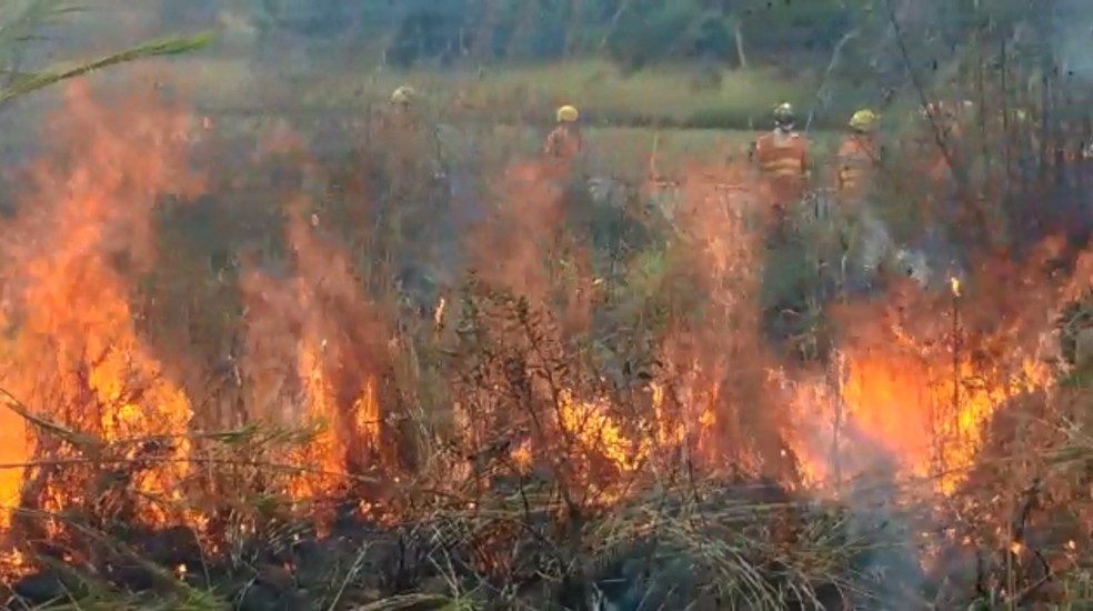 Bombeiros apagam incÃªndio florestal no DF â Foto: Corpo de Bombeiros/ DivulgaÃ§Ã£o