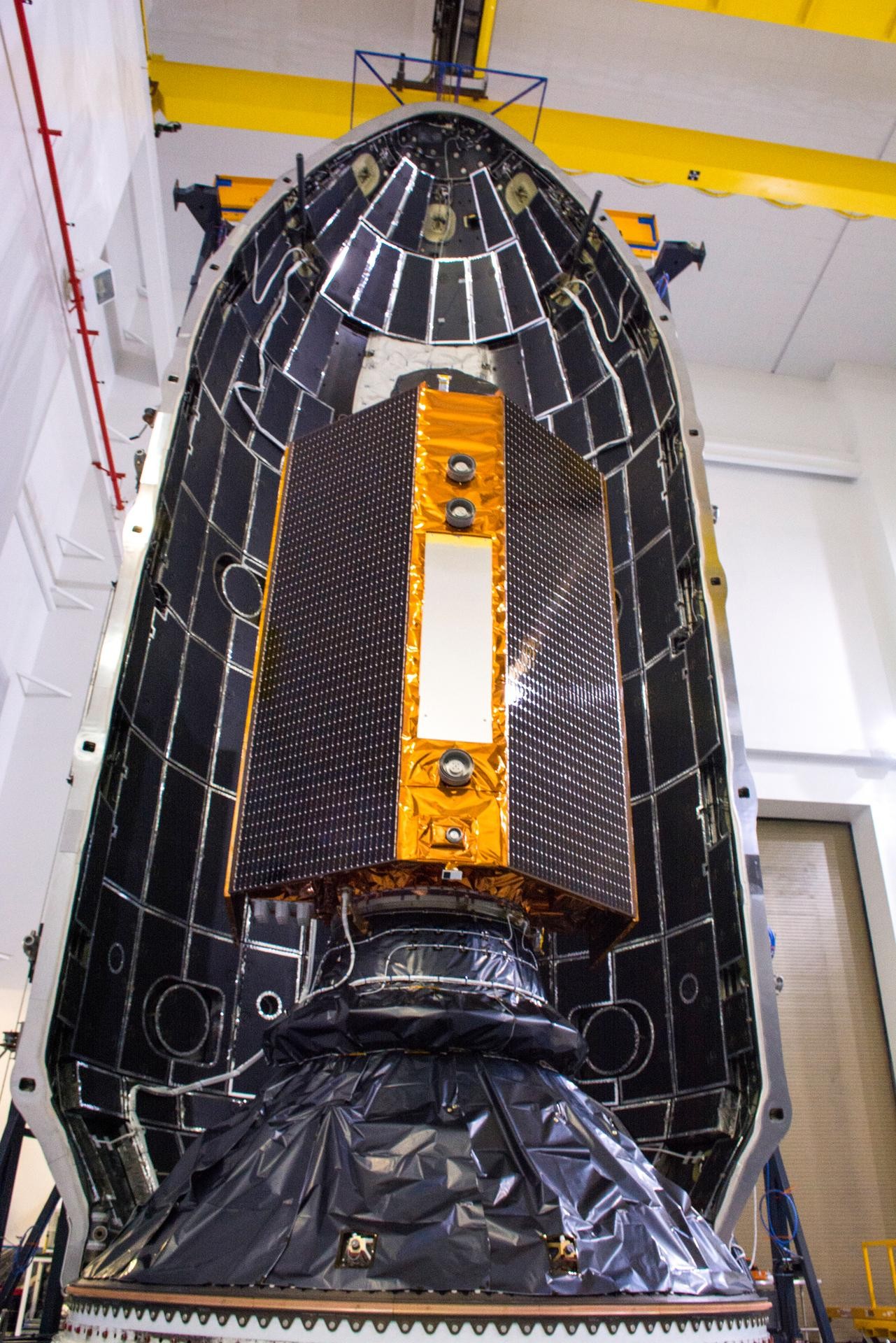 Sentinel-6 Michael Freilich encapsulado no foguete da SpaceX (Foto: NASA/Randy Beaudoin)
