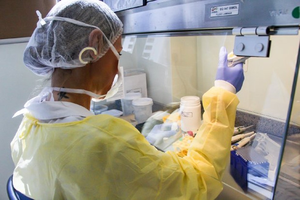Casos de coronavírus são confirmados a partir de testes — Foto: Fabrício Escandiuzzi/SES-SC