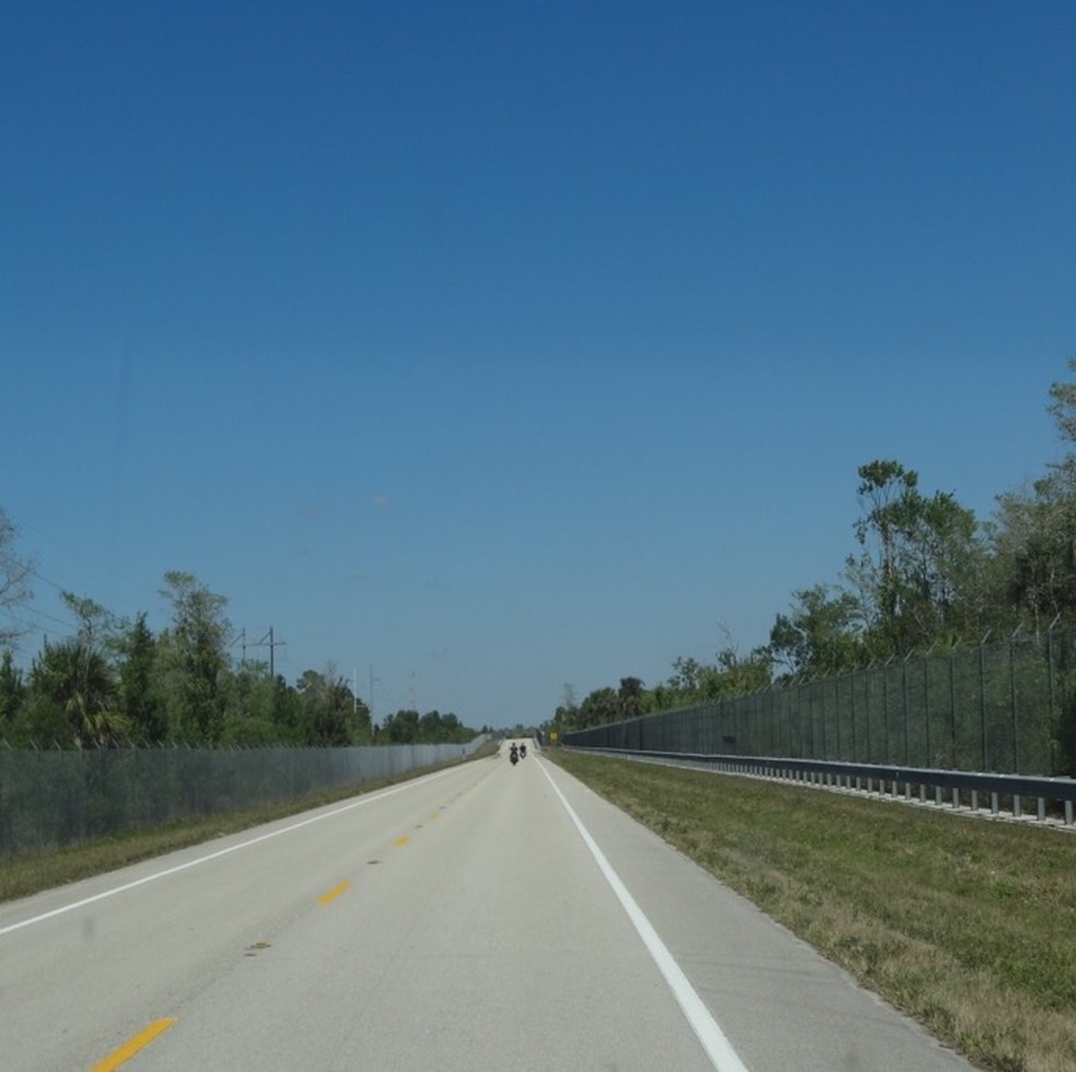Telas de contenção instaladas em autoestrada na Flórida são exemplo de solução para rodovias com trânsito de animais silvestres no Brasil — Foto: Julio César de Souza/Arquivo pessoal