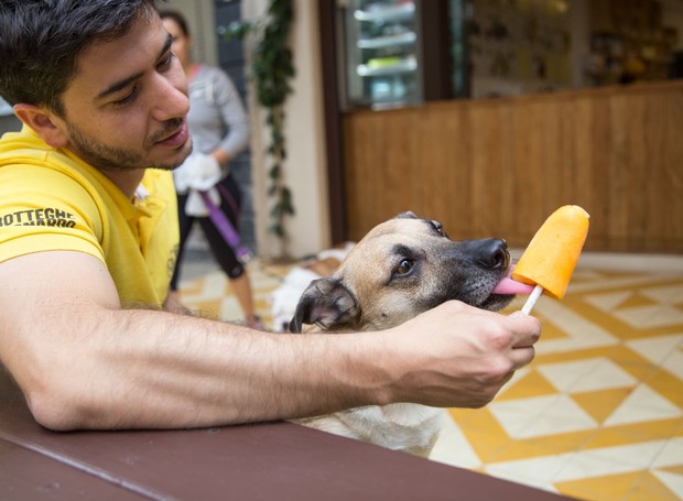 Para quem quer se refrescar junto com os pets, o Le Botteghe Di Leonard possui uma linha de picolés desenvolvida especialmente para os cães (Foto: Divulgação)