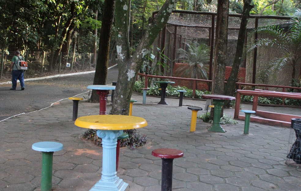 Prisão aconteceu no Bosque Municipal de Marília (Foto: Prefeitura de Marília/Divulgação)