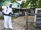 Porto Alegre aplica inseticida por suspeita de zika vírus e chikungunya