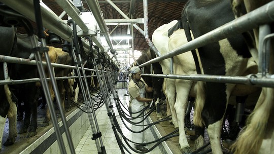 Preço do leite pago ao produtor subiu 17% em fevereiro