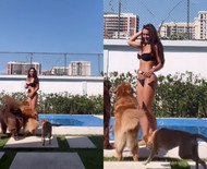 De biquíni, Rafa Kalimann brinca com cachorros à beira da piscina