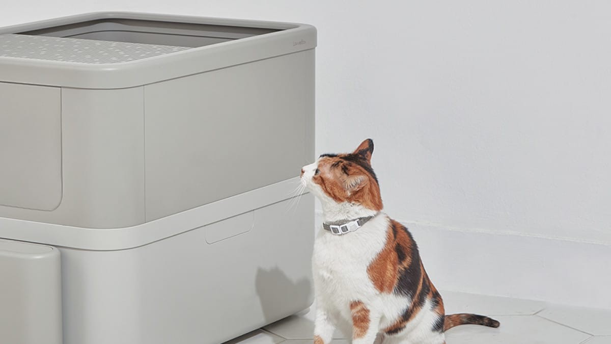Além dos dados urinários do felino, a LavvieBox consegue detectar os movimentos intestinais e o peso do gato (Foto: PurrSong/ Reprodução)