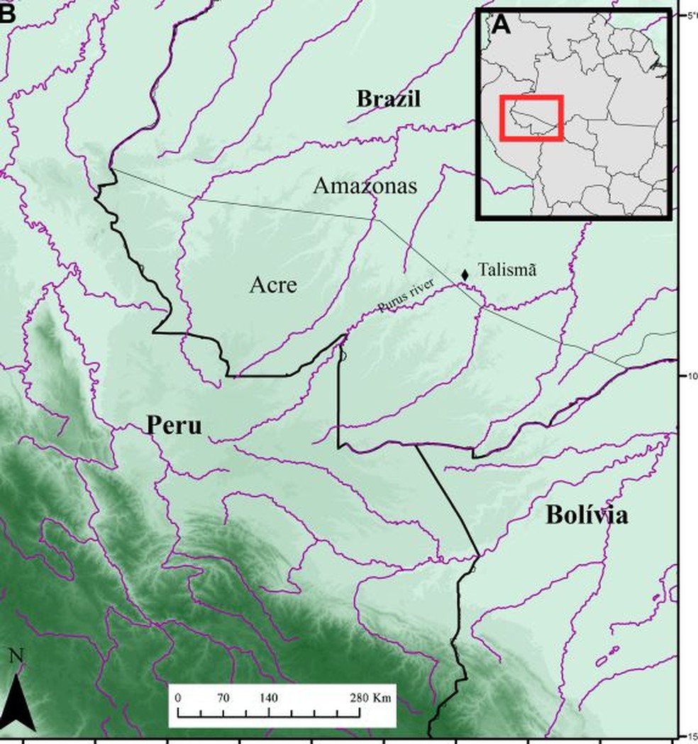 Local onde fóssil foi achado seria um grande pantanal na época que o jacaré habitava o espaço  — Foto: Reprodução 