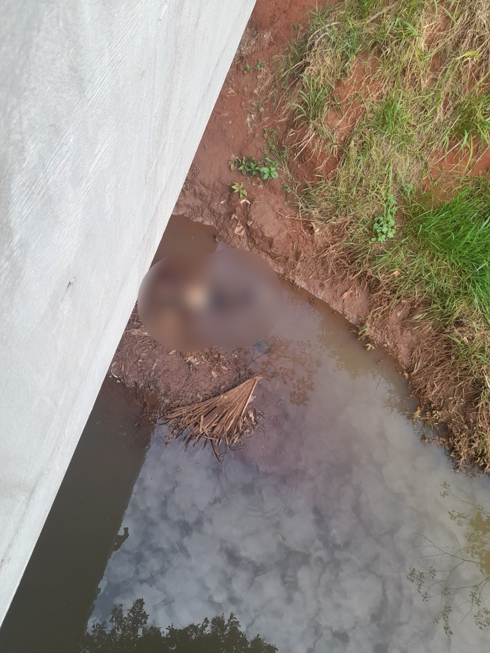 Corpo de mulher foi encontrado no córrego Imbirussu, em Campo Grande — Foto: Polícia Militar MS/Divulgação