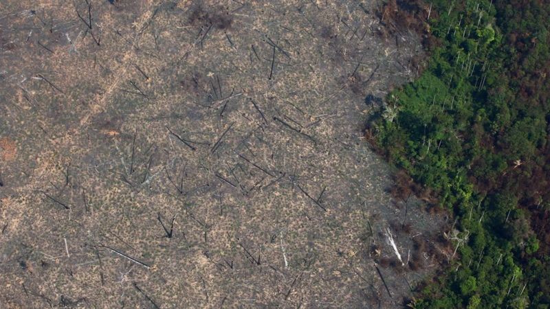 Segundo estudo, os municípios com maior desmatamento sofrem mais com violência e pobreza (Foto: Reuters via BBC News Brasil)