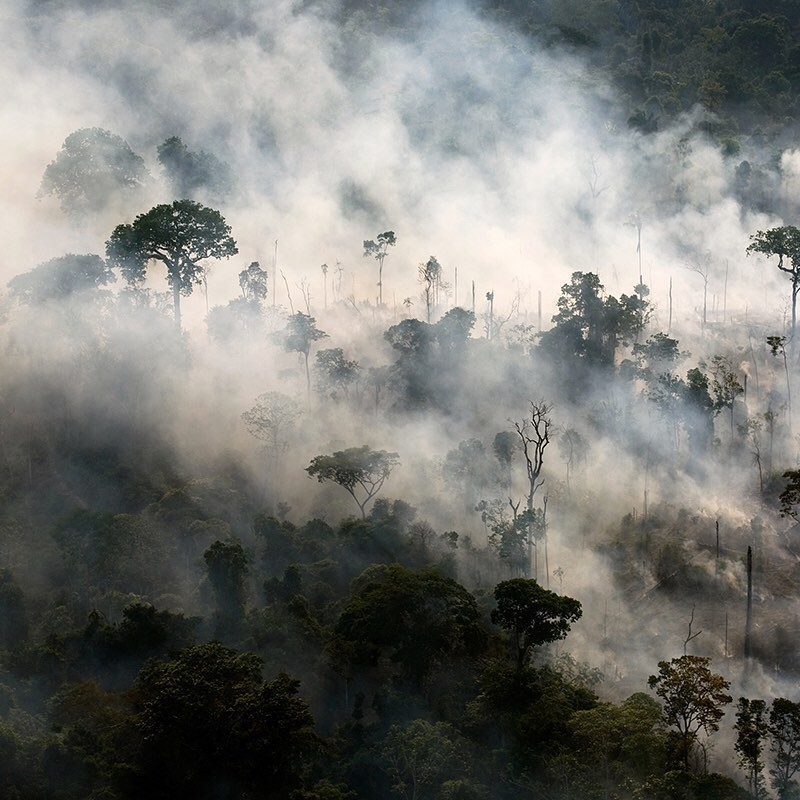 Queimadas na floresta amazônica (Foto: Instagram Earth Alliance/ Reprodução)