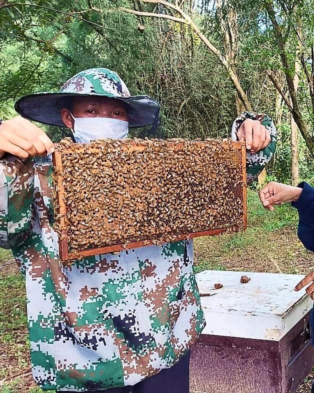Angelina Jolie celebra projeto que práticas sustentáveis ​​de apicultura e empreendedorismo feminino (Foto: Reprodução Instagram)